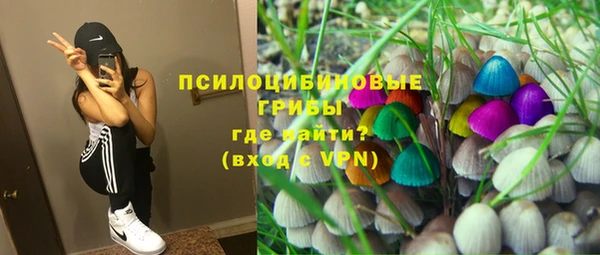 стафф Слюдянка